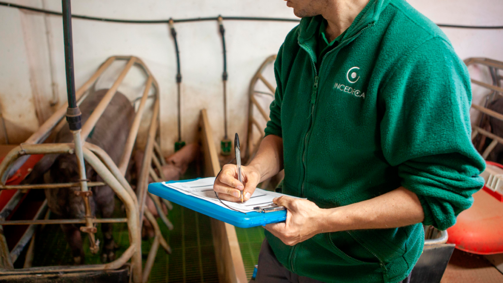 Curso inspector cerdo iberico