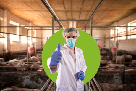 Cursos de formación agro en Extremadura 8 programas de formación