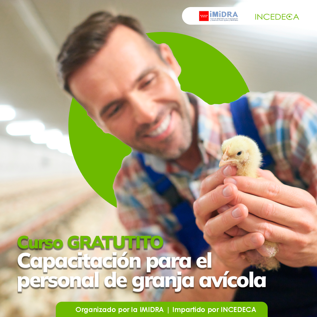 Lee más sobre el artículo Curso gratuito para personal de granja avícola: una formación clave dentro del Plan Estratégico de la PAC en la Comunidad de Madrid 2023-2027