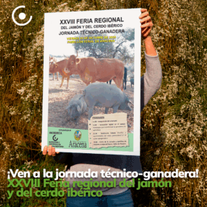 Lee más sobre el artículo INCEDECA impulsa la innovación digital en el campo en la XXVIII Feria Regional del Jamón y del Cerdo Ibérico de Aracena.