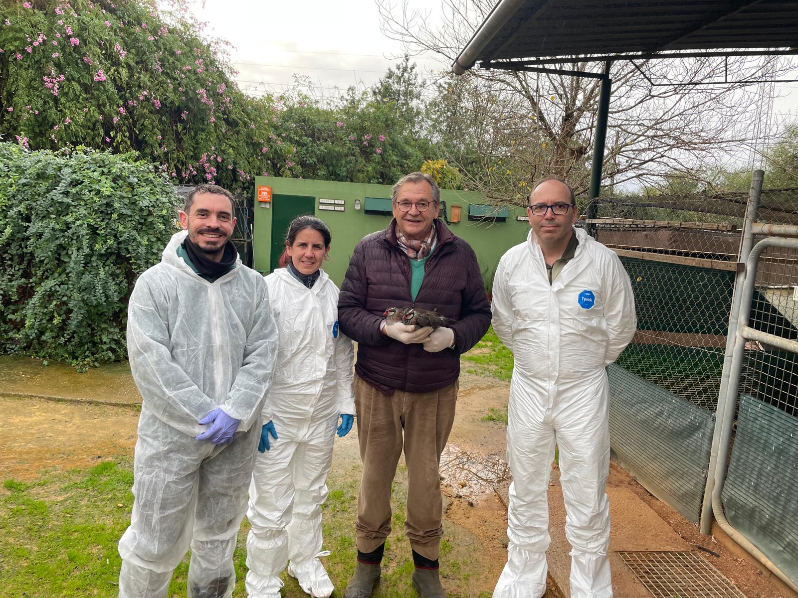 Lee más sobre el artículo INCEDECA y la Junta de Andalucía se unen por la pureza de la Perdiz Roja: Un paso firme hacia la conservación genética y la biodiversidad.