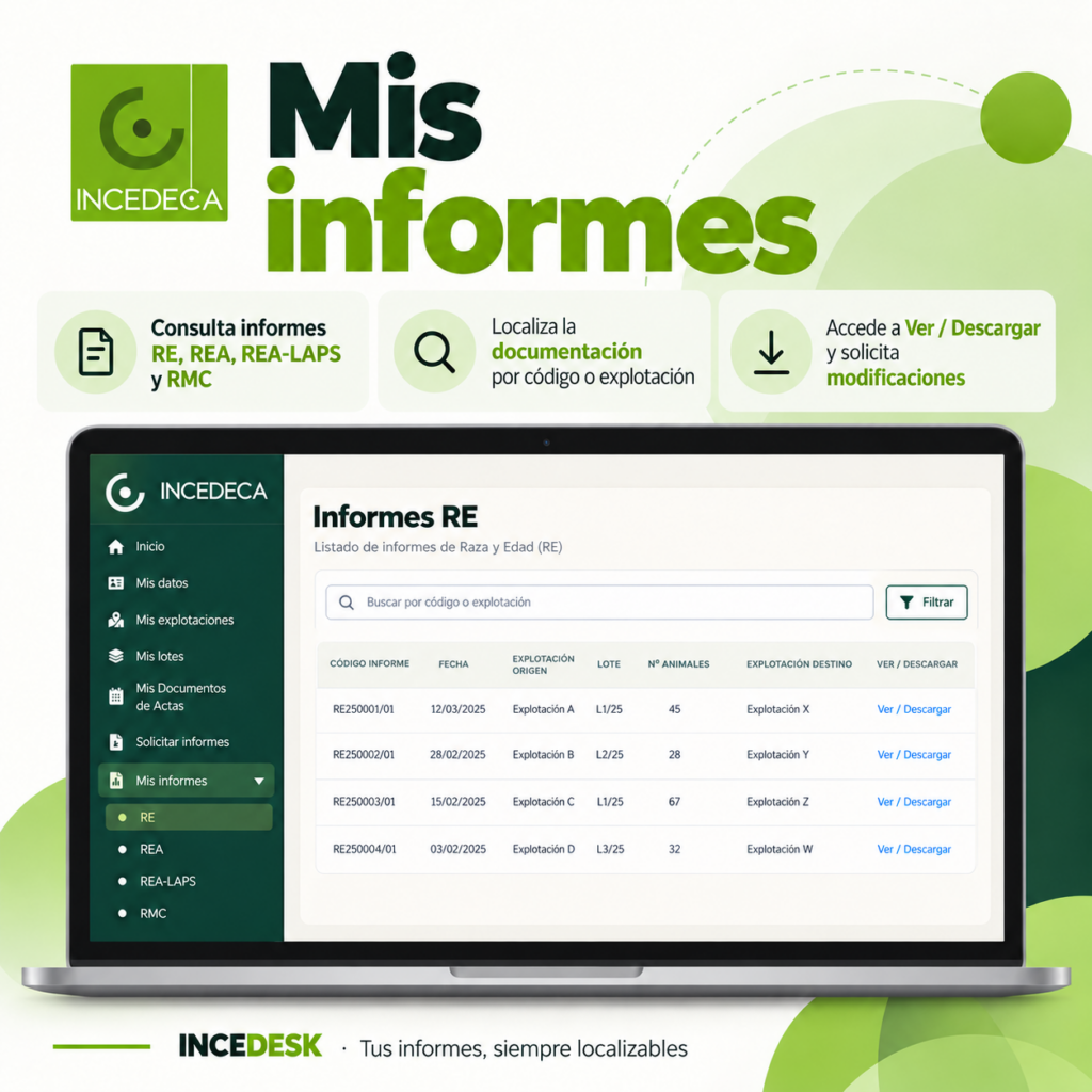 INCEDESK 9